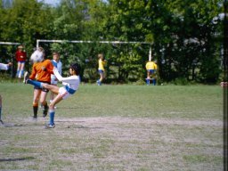0DIA 1984 RAVA PUPS 1